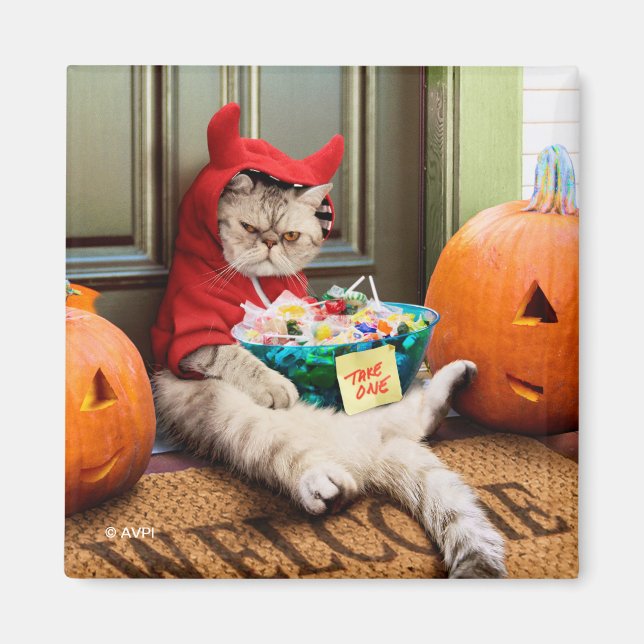 Cranky Devil Cat Magnet (Front)