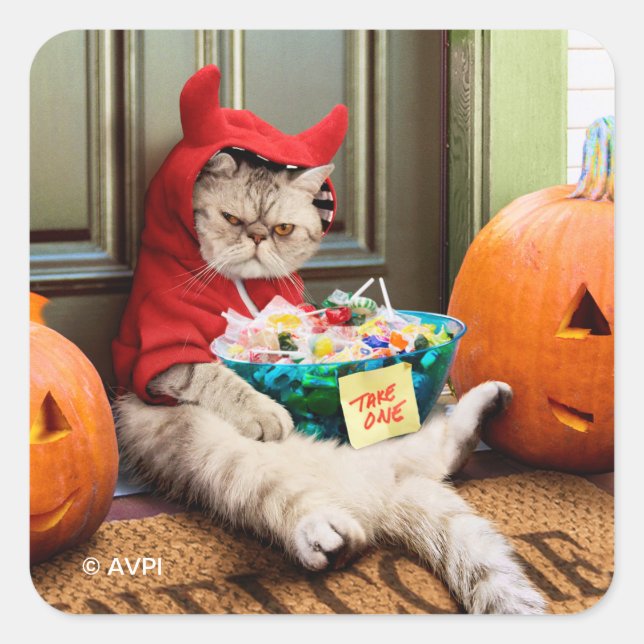 Cranky Devil Cat Square Sticker (Front)