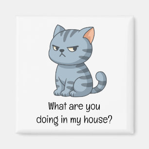 Cranky Grey Tabby Cat Funny Text Magnet