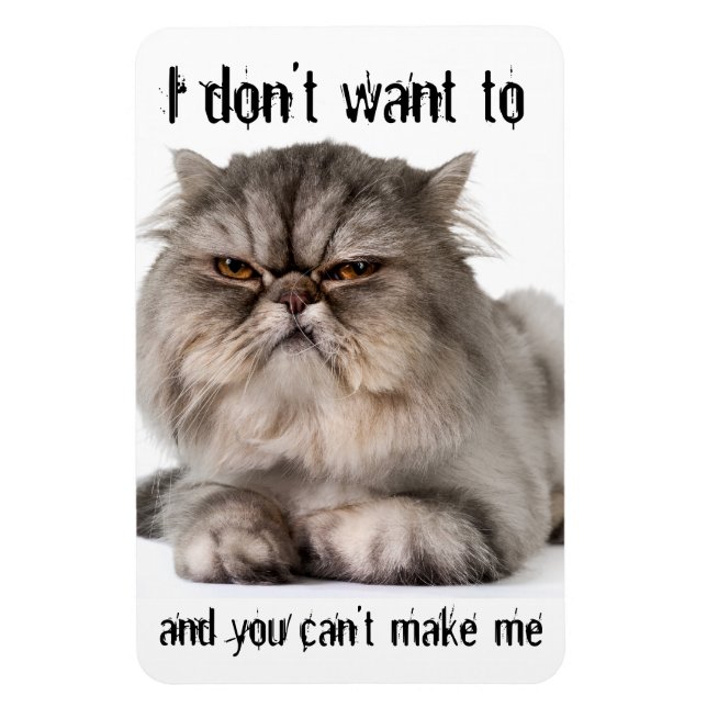 Cranky kitty flexible magnet, "I don't want to..." Magnet (Vertical)