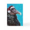 Cranky Old Buzzard Christmas