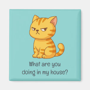 Cranky Orange Tabby Cat Funny Text Green Magnet