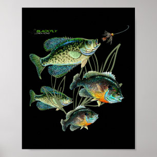 Crappie Bluegill Fishing Shirts Hoodies Black Fly  Poster