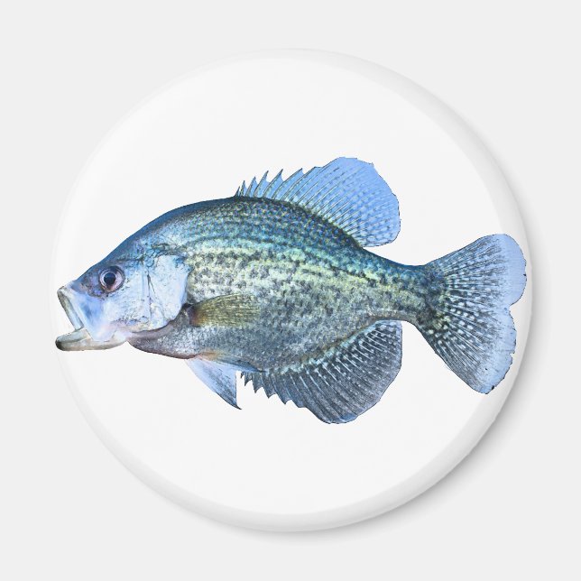 Crappie fishing magnet (Front)