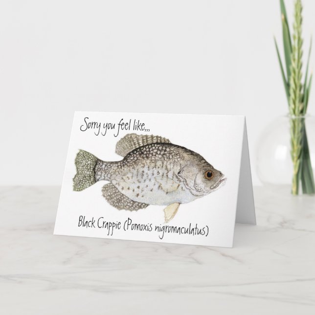 Crappie get well card (Front)