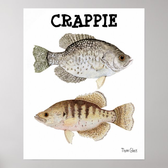 Crappie Poster (Front)