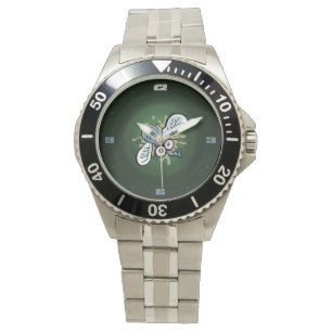 crash landed fly watch