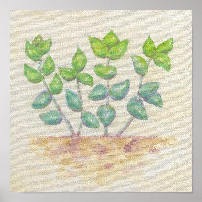 Crassula art print (Front)