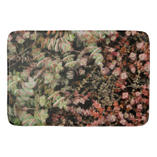 Crassula perforata bath mat