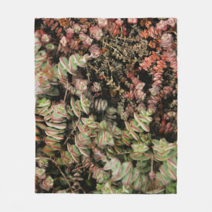Crassula perforata fleece blanket