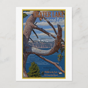 Crater Lake - Summer 2011 Postcard