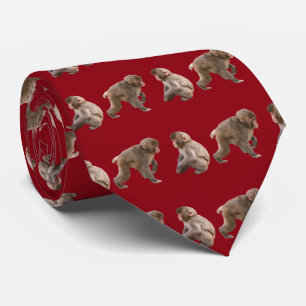 CRAVATE ニ ホ ン ル (子 供)