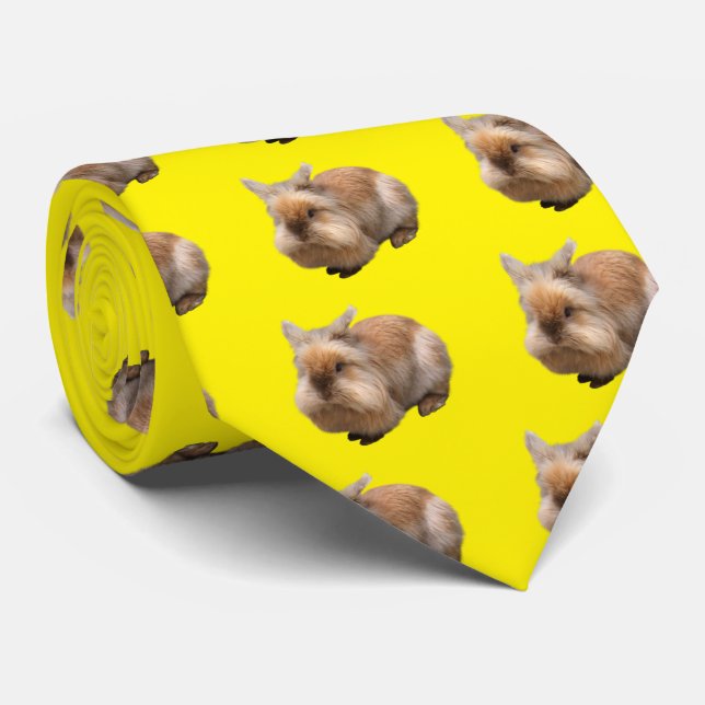 CRAVATE 犬 (Roulé)