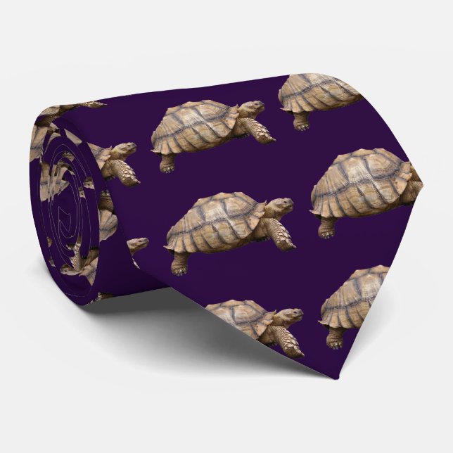 Cravate African spurred tortoise (Roulé)