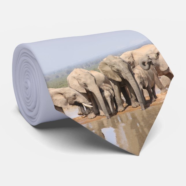 Cravate African Wildlife Photography Elephant Social (Roulé)