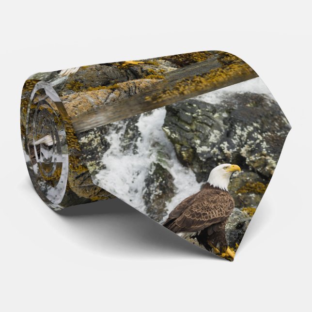 Cravate Aigle à tête blanche (Roulé)