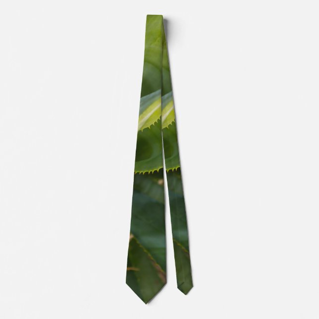 Cravate Aloe Vera (Devant)