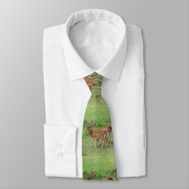 Cravate animal, cerf, faune, forêt, prairie, chasse, G (Attaché)