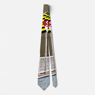 Cravate Annapolis MD - Drapeaux le long d'East Street