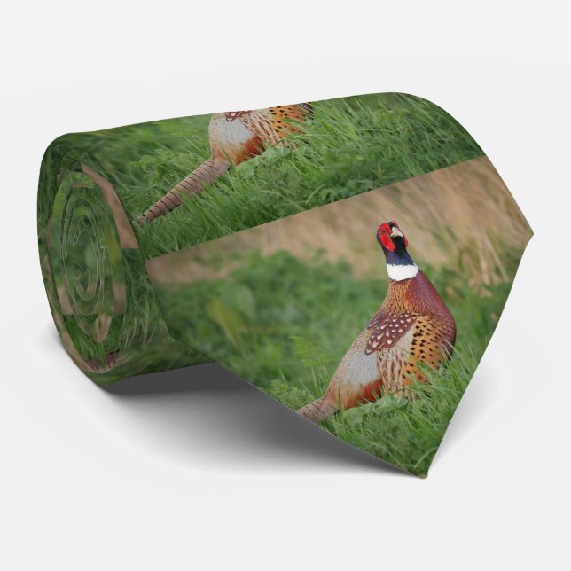 Cravate Anneau d'oiseaux de l'État du Dakota du Sud Cecked (Roulé)