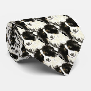 Cravate Aquarelle Bordure Collie, Chien, Animal, Animal