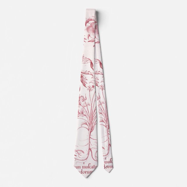 Cravate Art botanique Vintage rose (Devant)