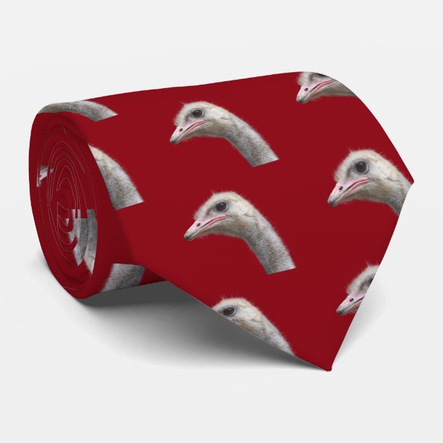 Cravate Autruche commune (Roulé)