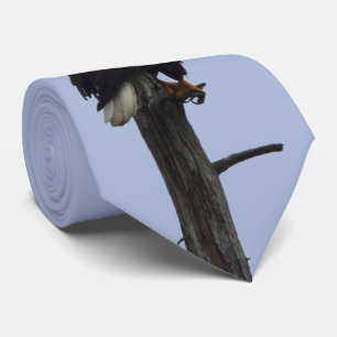 Cravate avec l'aigle