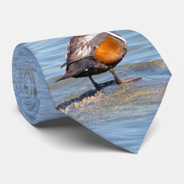 Cravate Beau canard arlequin sur le rocher (Roulé)
