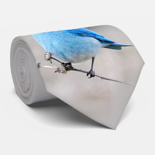 Cravate Beau oiseau bleu de montagne