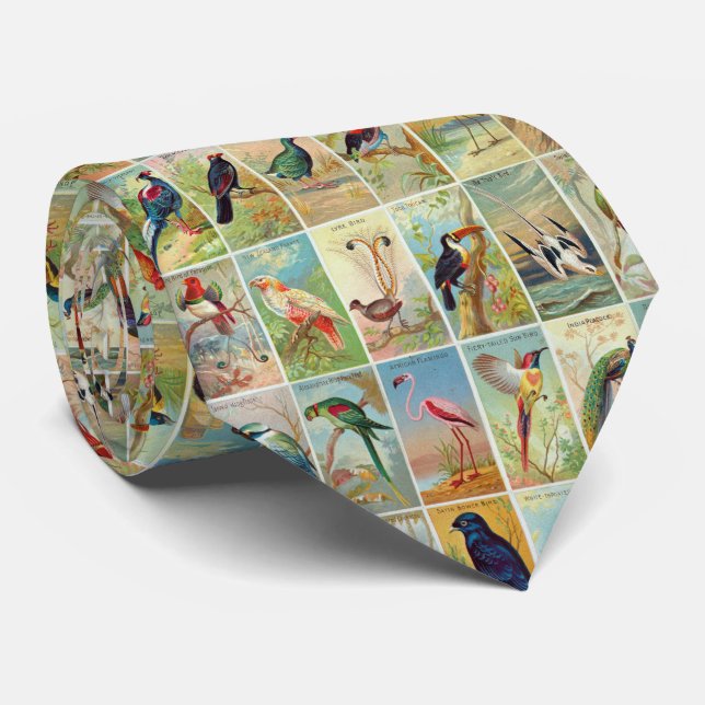 Cravate Belle illustration tropicale du 19ème siècle (Roulé)