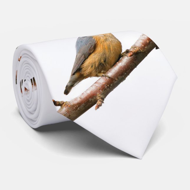 Cravate Belle Nuthatch à poitrine rouge sur une branche (Roulé)