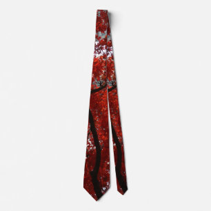 Cravate Belles feuilles rouges sur un