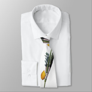 Cravate Blanche d'Arba - Lulav, Esrog, Hadas, et Aravah