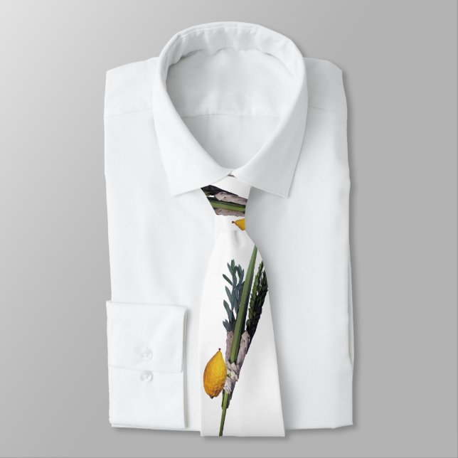 Cravate Blanche d'Arba - Lulav, Esrog, Hadas, et Aravah (Attaché)