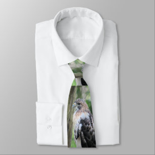 Cravate Buse à queue rouge