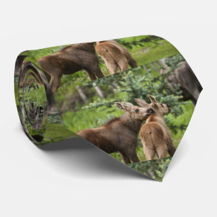 Cravate Calves d'orignal