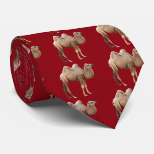 Cravate Camel