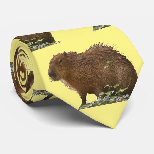 Cravate Capybara (Roulé)
