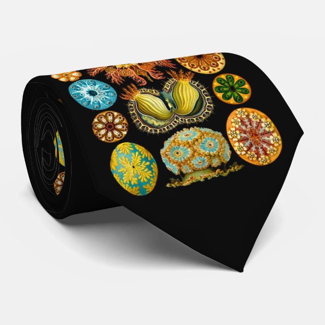 Cravate carte des créatures marines (Roulé)