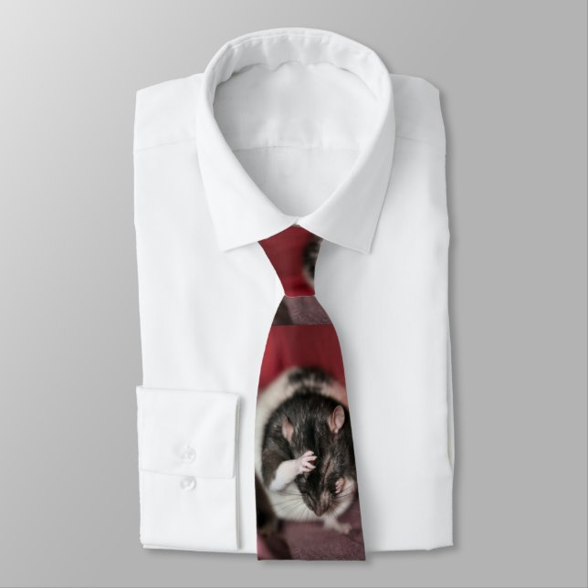 Cravate Casque (Attaché)