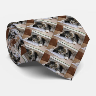 Cravate Cat Necktie musicale