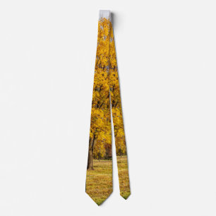 Cravate Chemise Automne Jaune Érable Sucre Tie