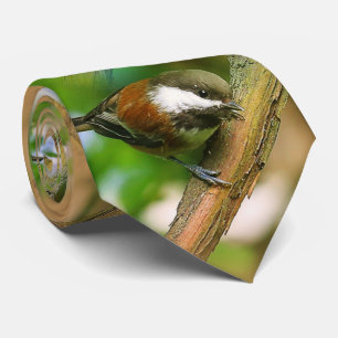 Cravate Chickadee Songbird, Curieux