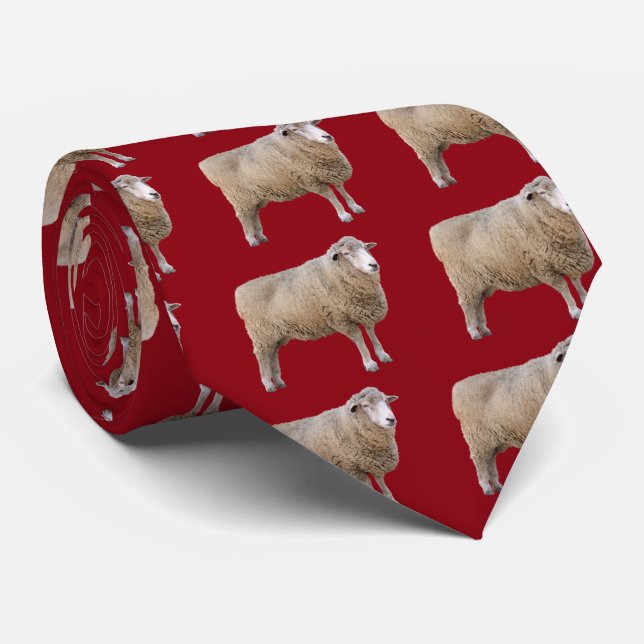 Cravate Corriedale sheep (Roulé)