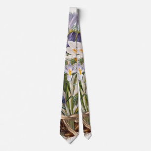 Cravate Crocus Spring Flower Botanique Floral Art