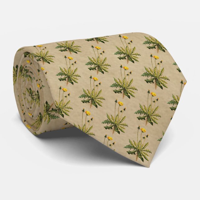 Cravate Dandelion Sur Vieux Papier (Roulé)