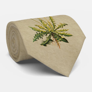 Cravate Dandelion Sur Vieux Papier