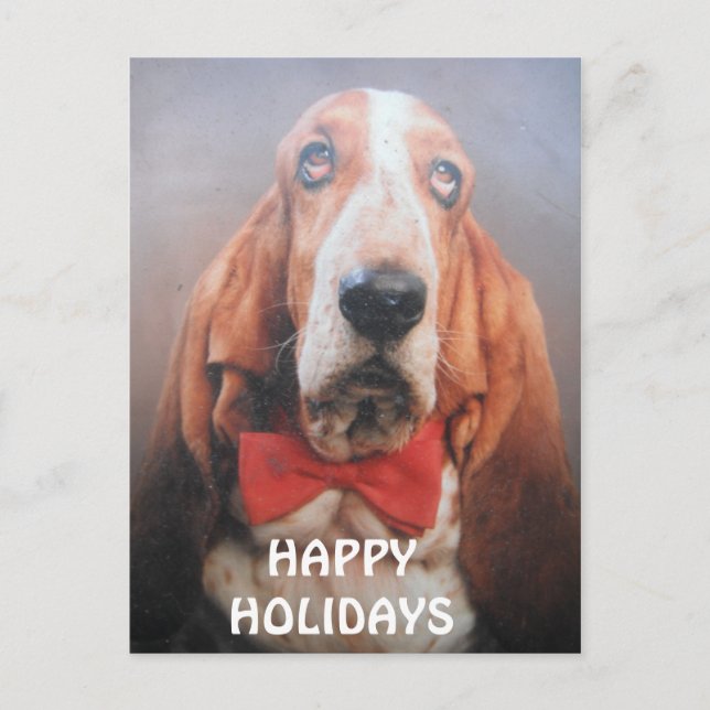 Cravate d'arc rouge de Basset Hound de carte (Devant)