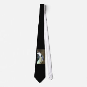 Cravate de Boston Terrier